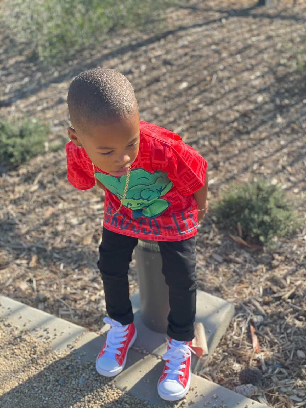 Strawberry Geo World Kids Sneakers